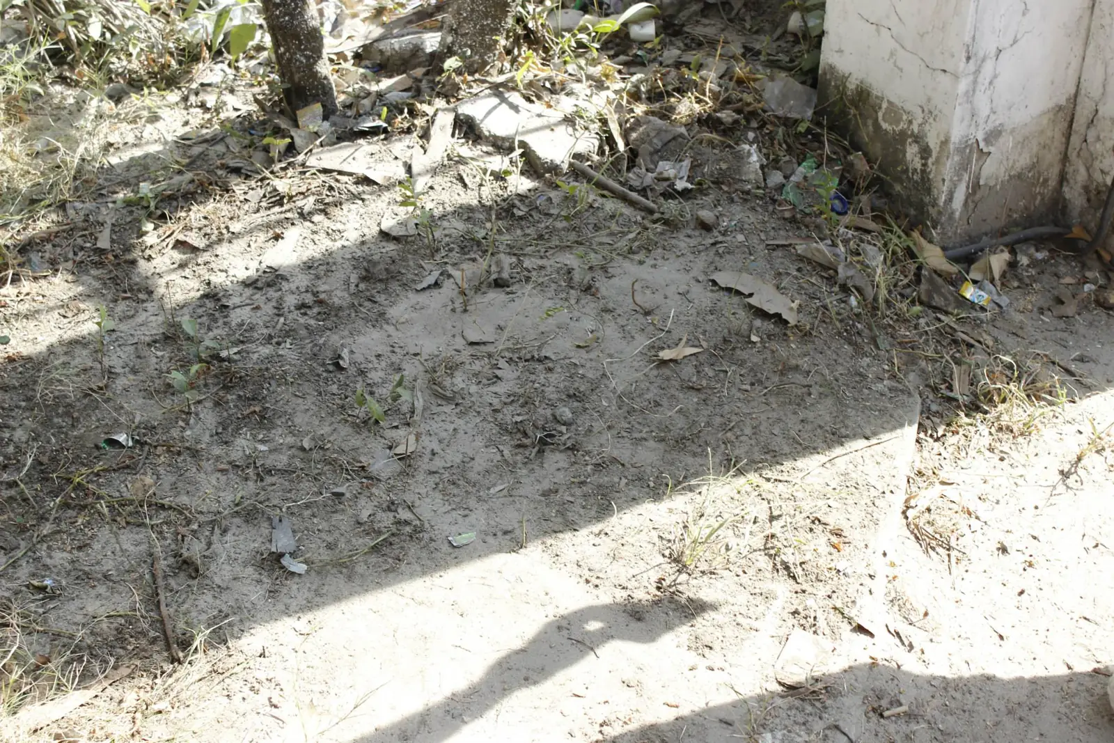 Geekonix Facebook gallery photo 32 2014